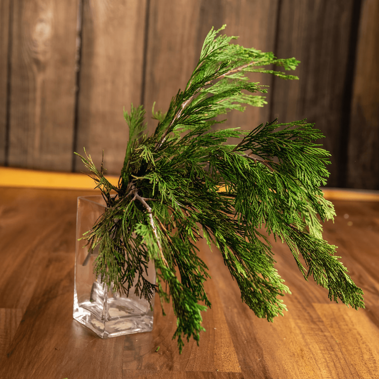 Cedar Branches choice of fresh or preserved