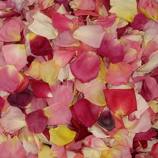 ASSORTED BRIGHT Dried Rose Petals 1 box - 240 ounces