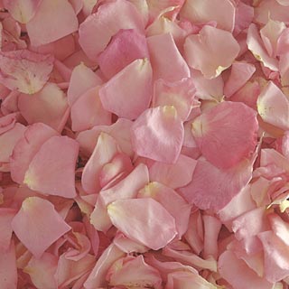 PINKS Freeze Dried Rose Petals Pinks 1 box bulk