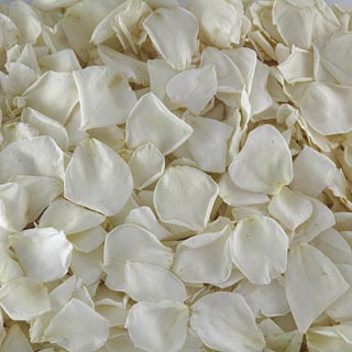 WHITE Freeze Dried Rose Petals 1 box - 240 ounces