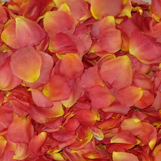 TROPICAL PEACH Dried Rose Petals 1 box - 240 ounces