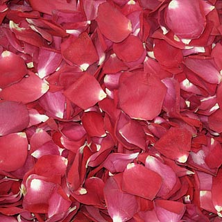 REDS Freeze Dried Rose Petals 1 box - 240 ounces