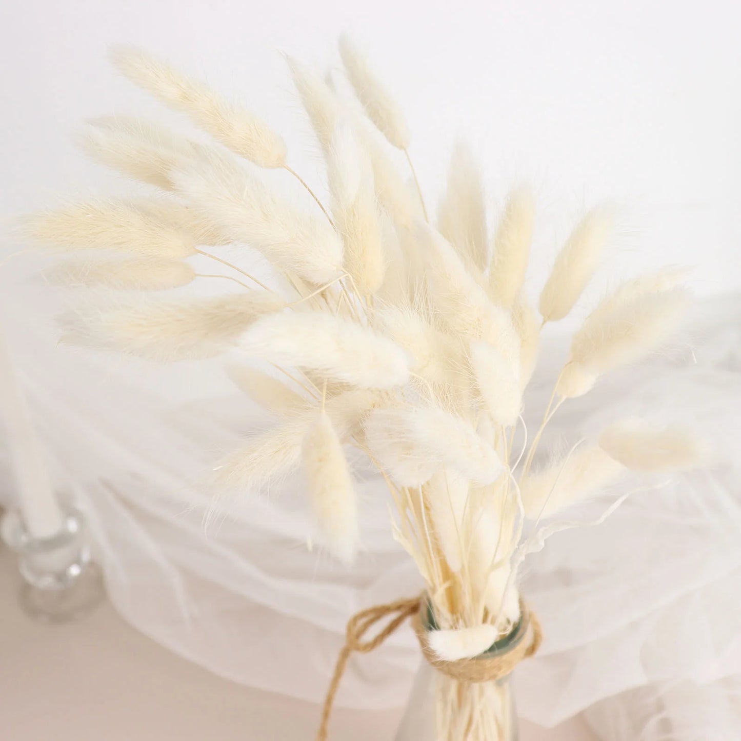 Dried Bunny Tails 50 stems . Choice of color - natural or white