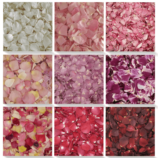 Freeze Dried Rose Petals choice ALL COLORS 1 box - 240 ounces