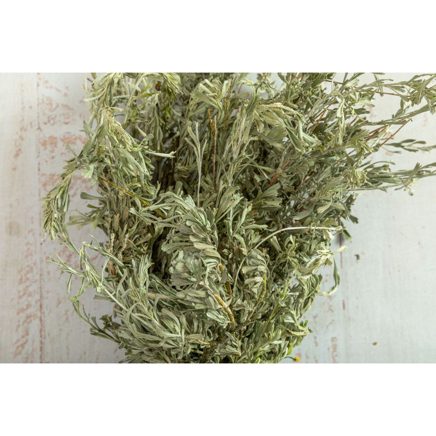 Sage bunch choice of fresh or preserved