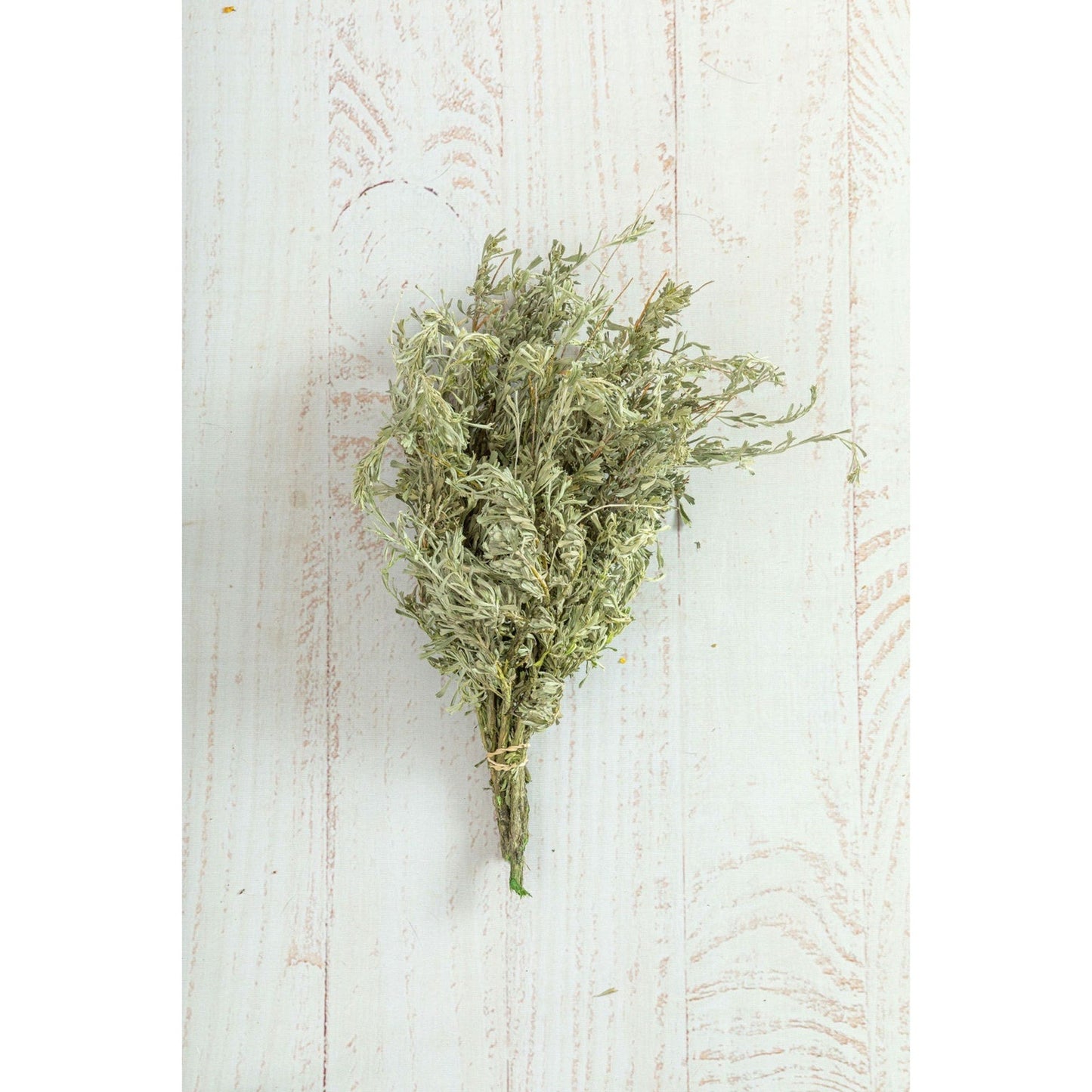Sage bunch choice of fresh or preserved