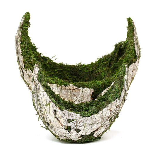 Set Of 2 | Crescent Moon White Bark Preserved Moss Planter Boxes