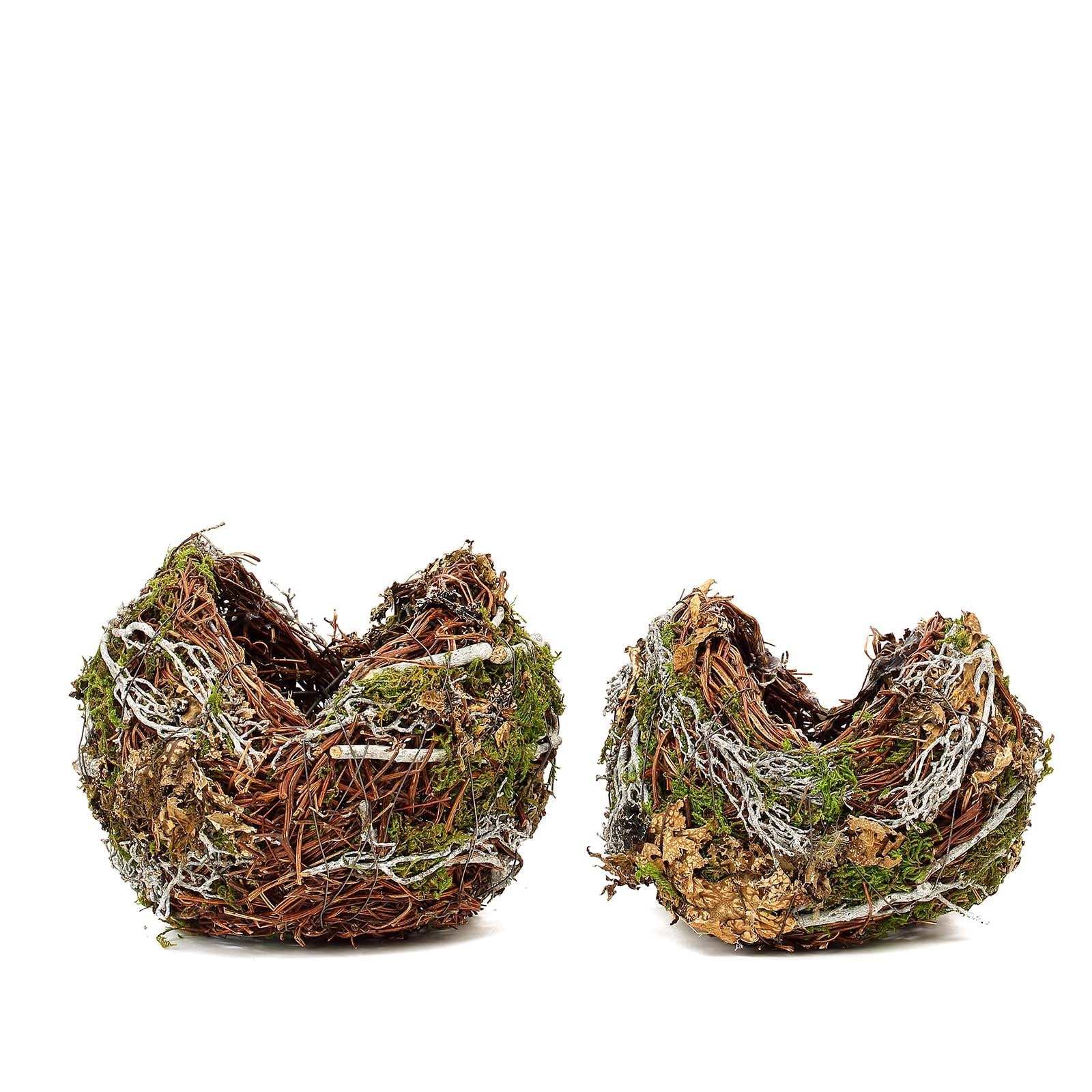 Set Of 2 | Natural Birds Nest Preserved Moss Twigs Planter Boxes