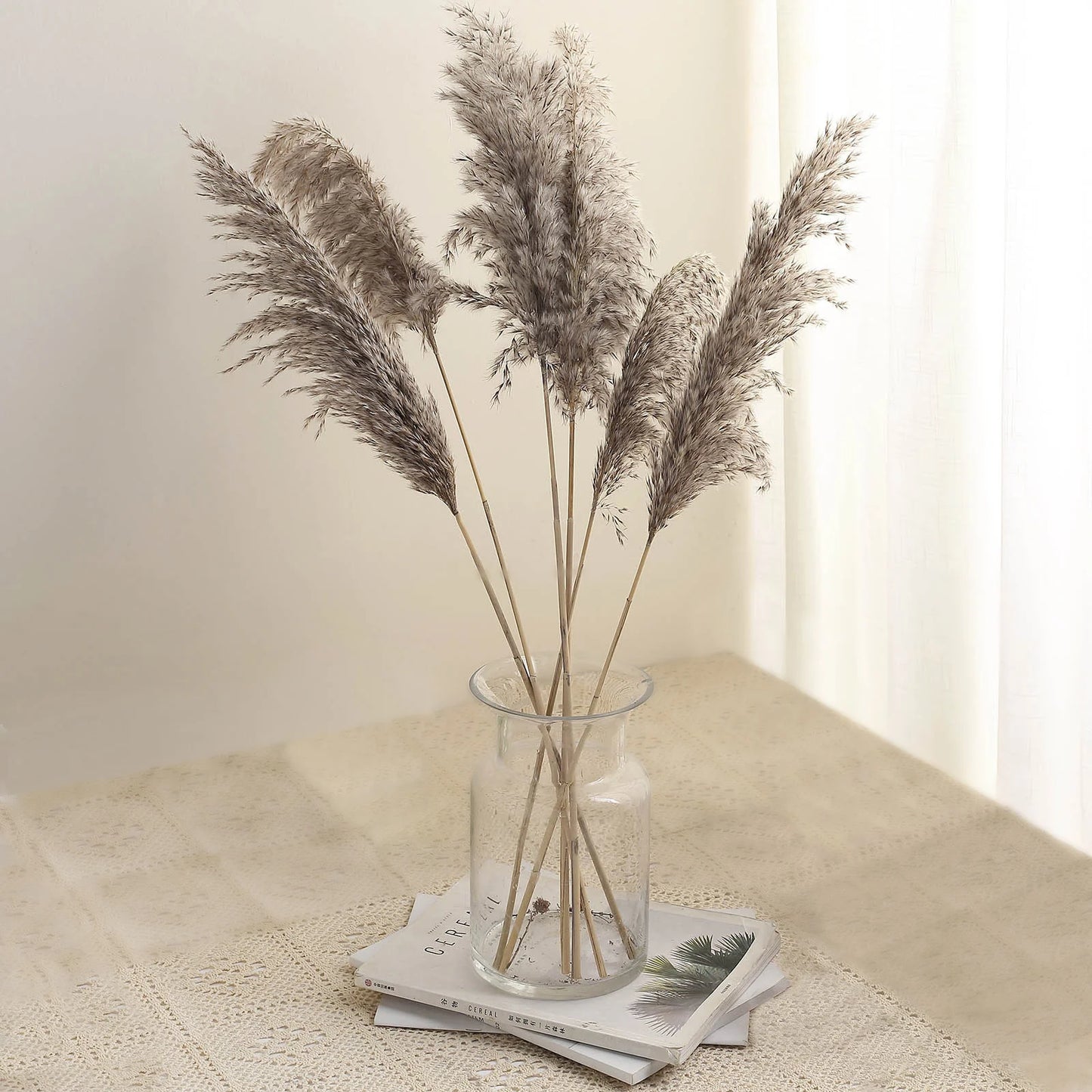 Pampas Grass - white, wheat or natural
