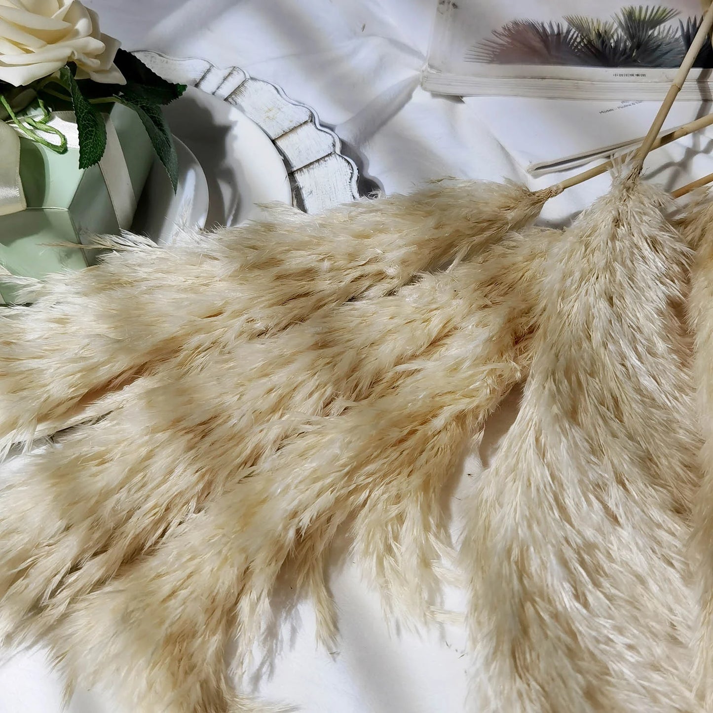 Pampas Grass - white, wheat or natural