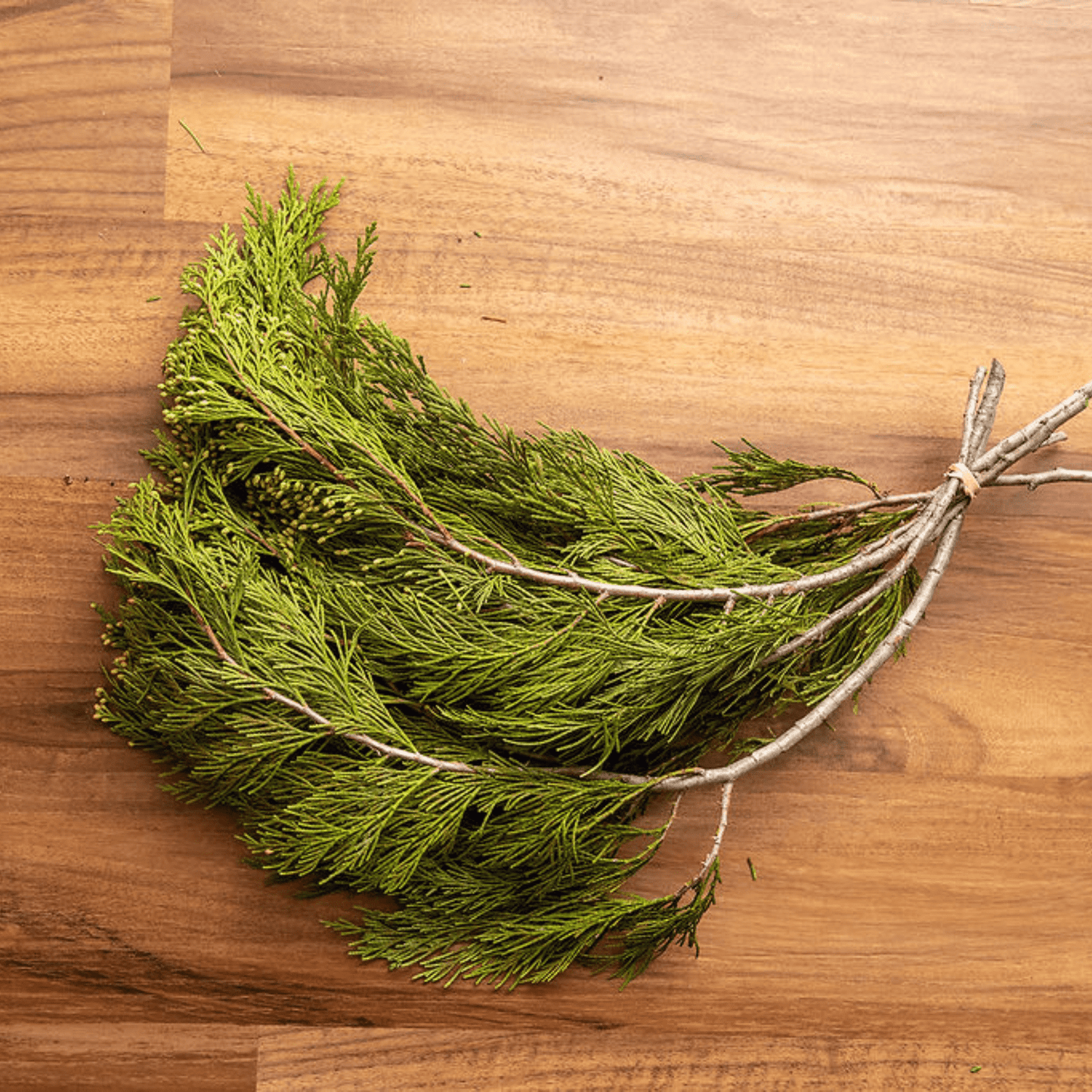 Cedar Branches choice of fresh or preserved
