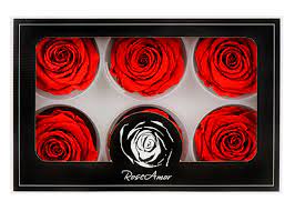 Roseheads Preserved - choice All Colors 2.5" Set of 6