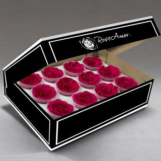 Roseheads Preserved - All Colors Mini 1.5" set of 12