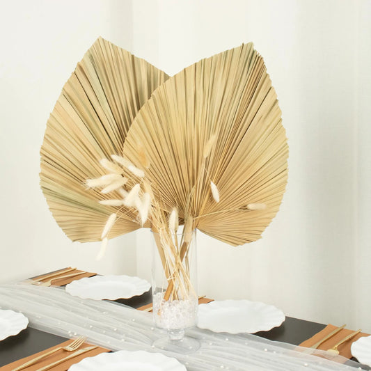Natural Dried Palm Leaves - set of 3