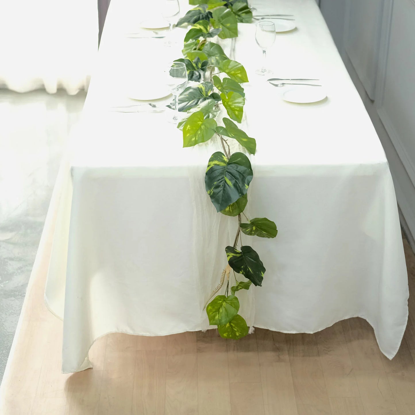 Ivy, Hanging Ivy preserved