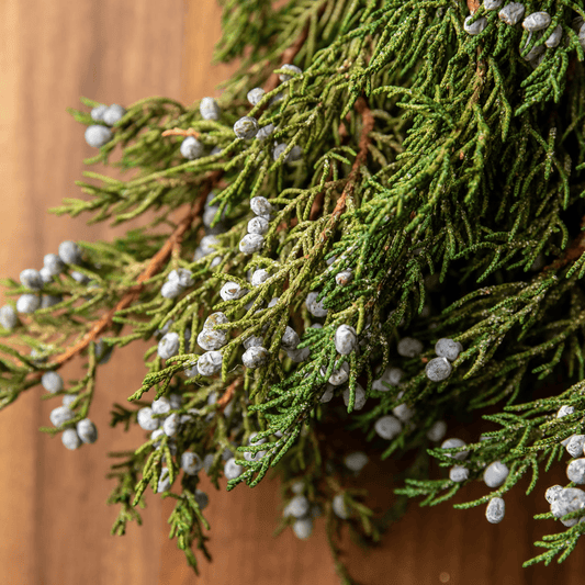 Juniper Branches with Berries choice of fresh or preserved