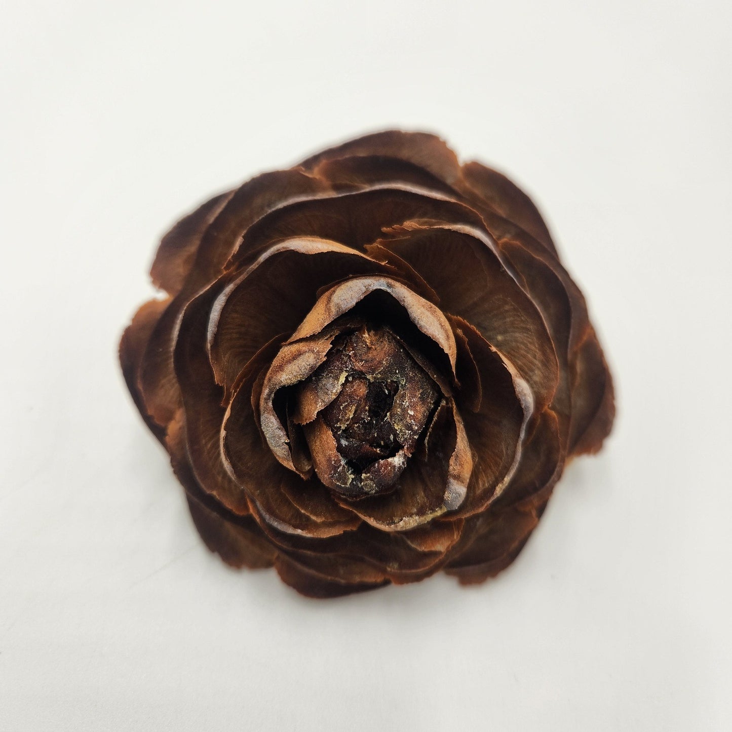 Cedar Rose Cone Rose shaped Pinecones Bulk 100 per box