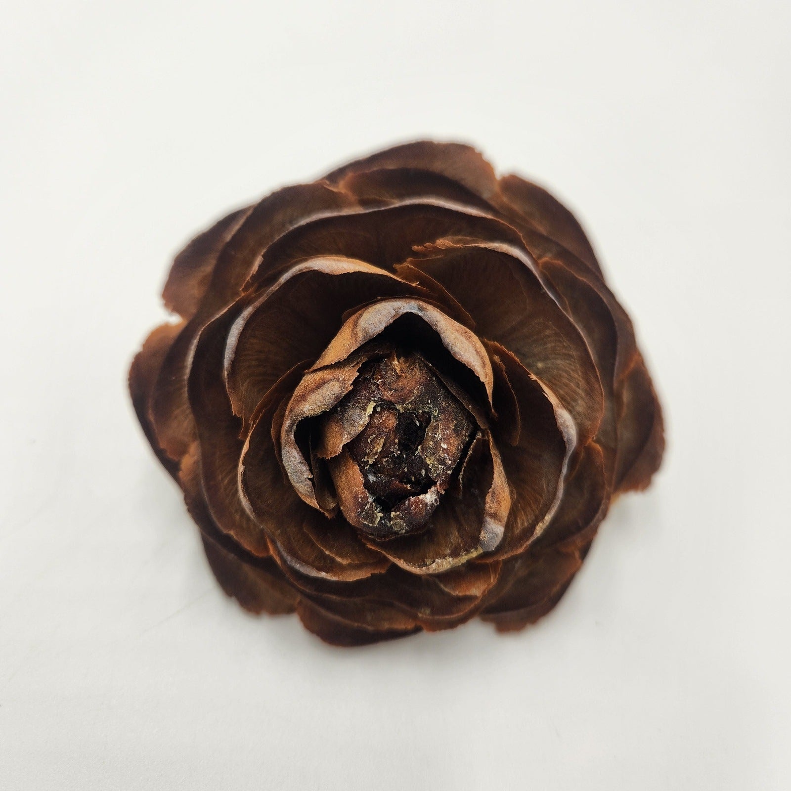 Cedar Rose Cone Rose shaped Pinecones Stemmed - 10 per bunch