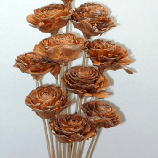 Cedar Rose Cone Rose shaped Pinecones Stemmed - 10 per bunch