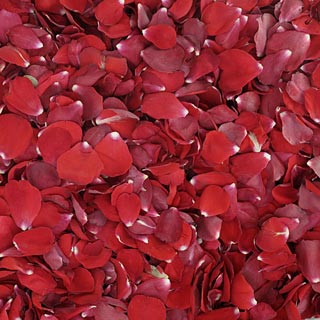 Burgundy Red Rose Petals (30 Cups) - Wholesale - Blooms By The Box