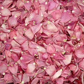 PINKS Freeze Dried Rose Petals Pinks 1 box bulk