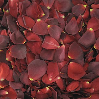 Rose Petals, Red, REAL Freeze Dried Rose Petals, 5 Cups 
