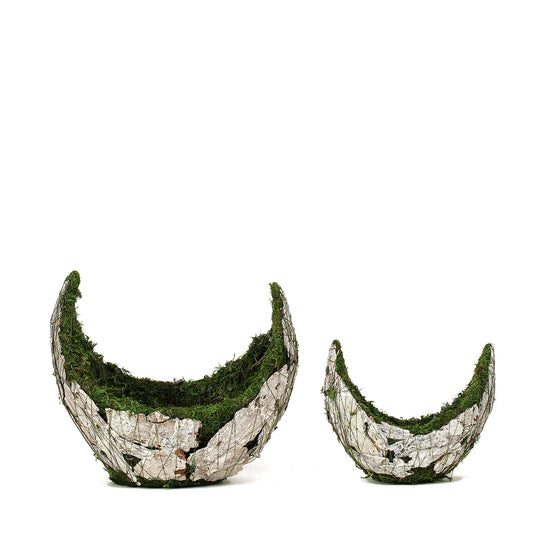 Set Of 2 | Crescent Moon White Bark Preserved Moss Planter Boxes