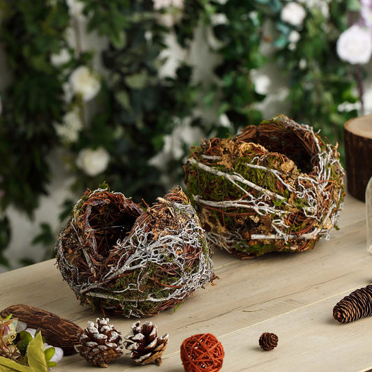Set Of 2 | Natural Birds Nest Preserved Moss Twigs Planter Boxes