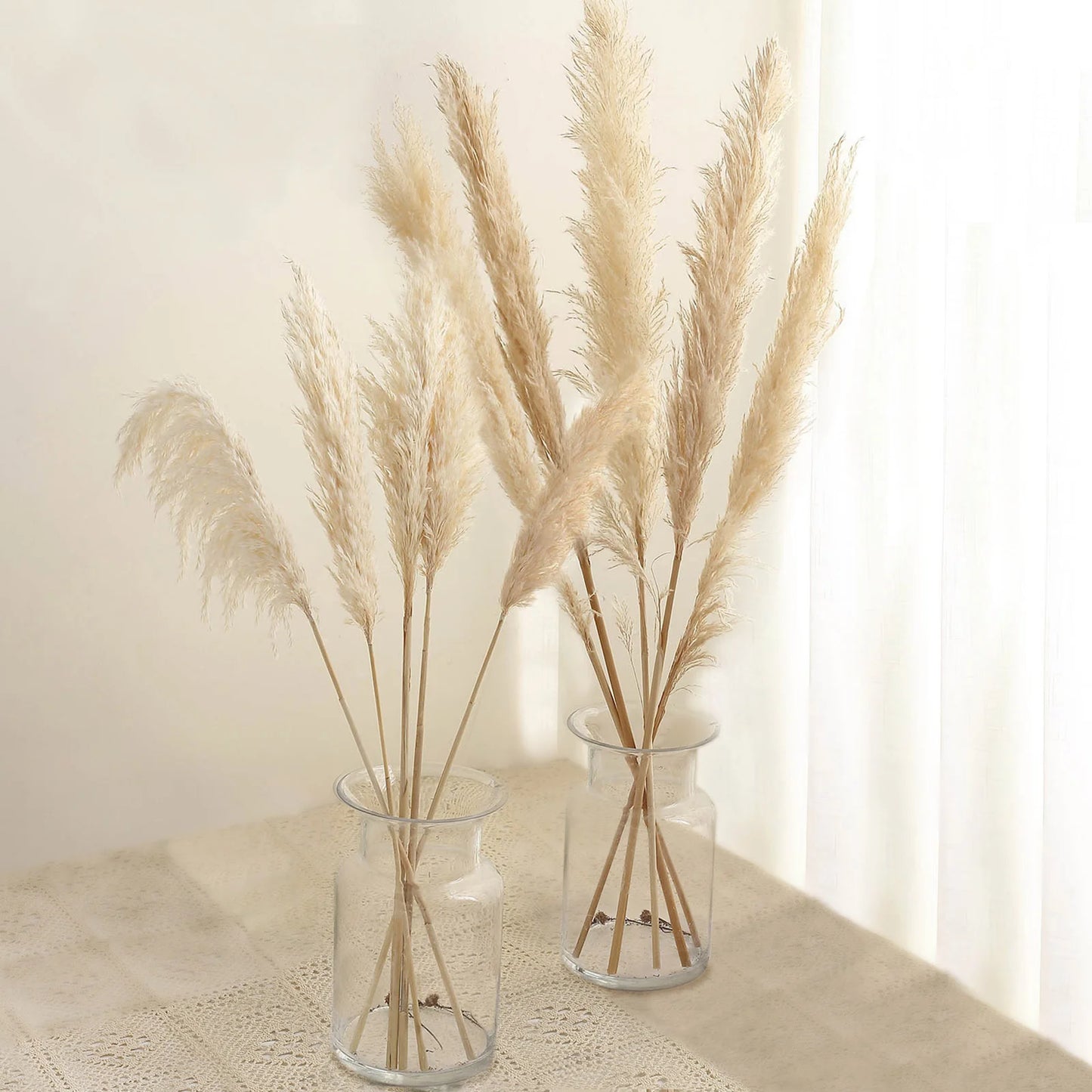 Pampas Grass - white, wheat or natural